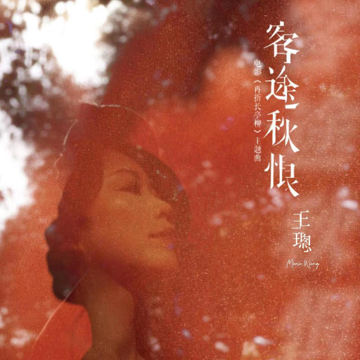 亚洲杯久久亚洲熟妇熟女 黑丝线
